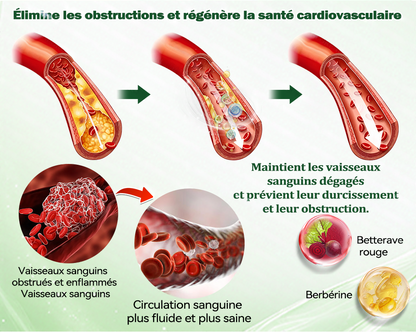🇫🇷2026 Nouveauté 丨Purelora® Moringa Berbérine x NAD+ Patch Nano-Microneedle 10-en-1 Une application par jour, changements visibles dès 7 jours. Pour accompagner la gestion du poids et le bien-être global