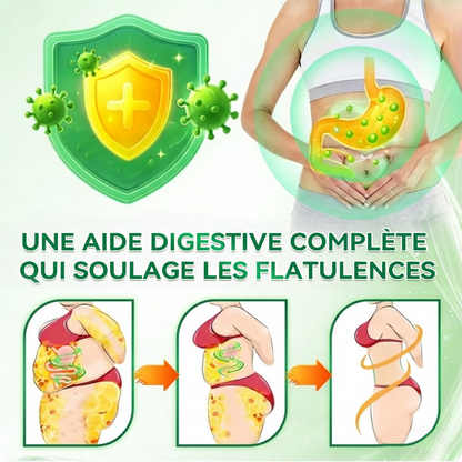 🏆 Recommandation n°1丨Purelora® Moringa Berbérine x NAD+ Patch Nano-Microneedle 10-en-1 Une application par jour, changements visibles dès 7 jours. Pour accompagner la gestion du poids, la fermeté de la peau et le bien-être global.