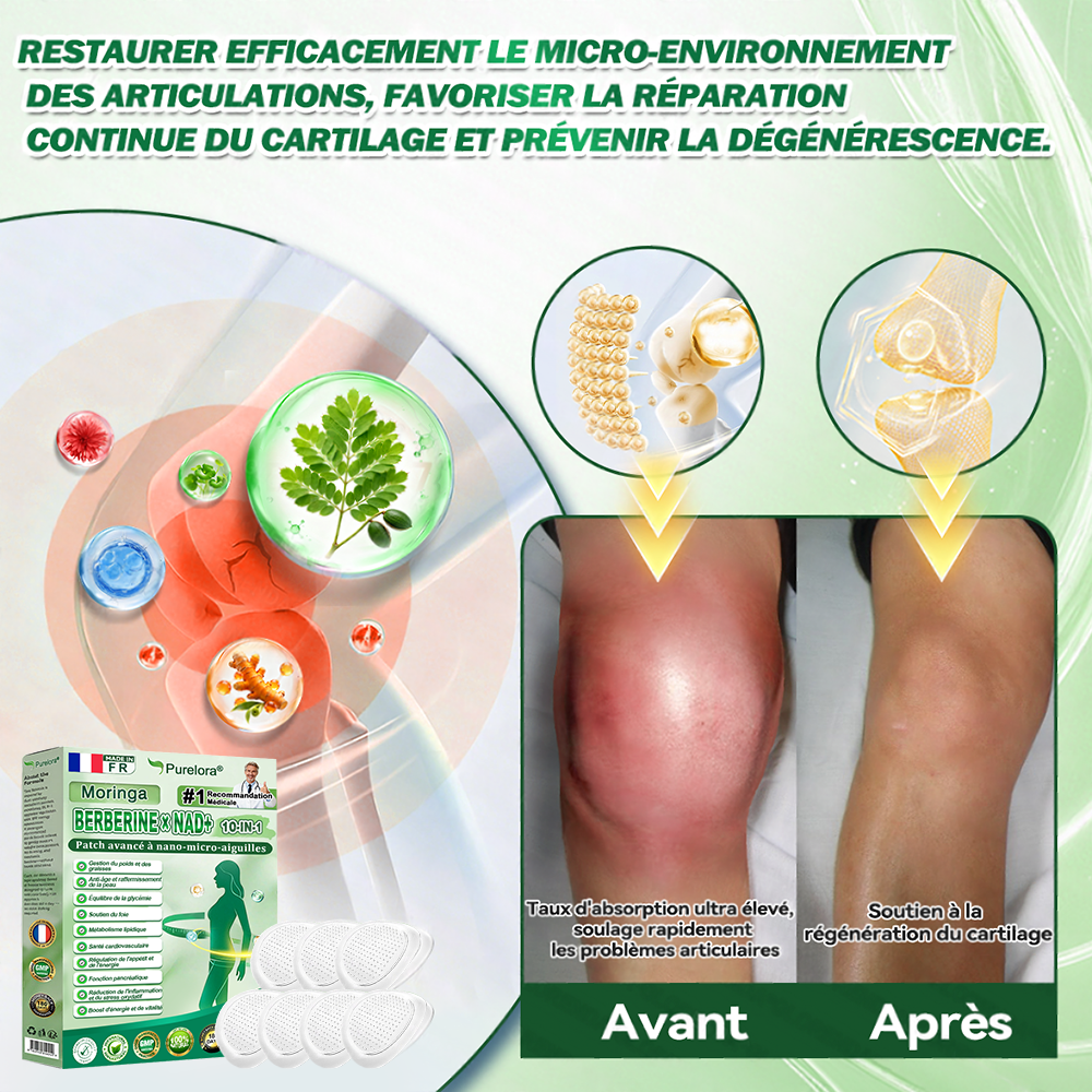⏰ Coup de cœur – temps limité丨Purelora® Moringa Berbérine x NAD+ Patch Nano-Microneedle 10-en-1 Une application par jour, changements visibles dès 7 jours. Pour accompagner la gestion du poids et le bien-être global