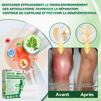 ⏰ Coup de cœur – temps limité丨Purelora® Moringa Berbérine x NAD+ Patch Nano-Microneedle 10-en-1 Une application par jour, changements visibles dès 7 jours. Pour accompagner la gestion du poids et le bien-être global
