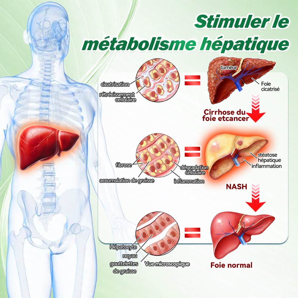 ⏰ Coup de cœur – temps limité丨Purelora® Moringa Berbérine x NAD+ Patch Nano-Microneedle 10-en-1 Une application par jour, changements visibles dès 7 jours. Pour accompagner la gestion du poids et le bien-être global