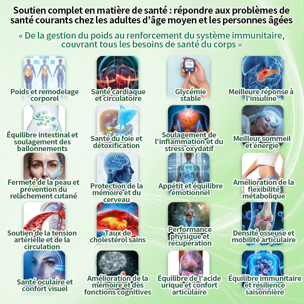 🇫🇷2026 Nouveauté 丨Purelora® Moringa Berbérine x NAD+ Patch Nano-Microneedle 10-en-1 Une application par jour, changements visibles dès 7 jours. Pour accompagner la gestion du poids et le bien-être global