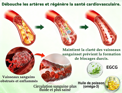 🔥 Nouveauté | Purelora® Patch nano-micro-aiguilles à la berbérine, au vinaigre de cidre de pomme et à l’EGCG 10-en-1 : brûle les graisses tenaces • lisse les rides • favorise le confort articulaire. Chaque patch agit — résultats visibles dès 7 jours.