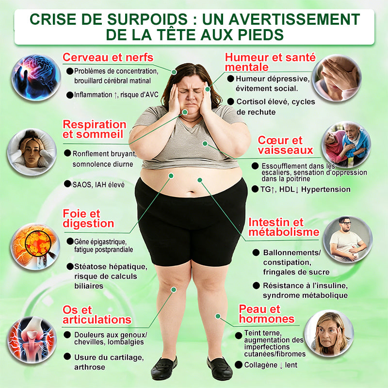 |🇫🇷 Boutique Officielle France |✨🧑‍⚕️ Healrize® Moringa · Berbérine × NAD⁺ Patch Nano-Micro-aiguilles Avancé 10-en-1 1 application par jour · Résultats visibles en 7 jours