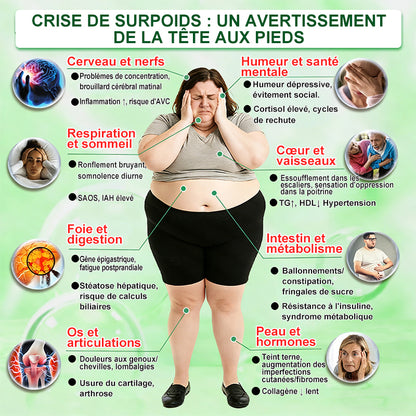 |🇫🇷 Boutique Officielle France |✨🧑‍⚕️ Healrize® Moringa · Berbérine × NAD⁺ Patch Nano-Micro-aiguilles Avancé 10-en-1 1 application par jour · Résultats visibles en 7 jours