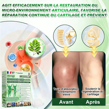 |🇫🇷 Boutique Officielle France |✨🧑‍⚕️ Healrize® Moringa · Berbérine × NAD⁺ Patch Nano-Micro-aiguilles Avancé 10-en-1 1 application par jour · Résultats visibles en 7 jours